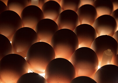 九五至尊VI-老品牌值得信任!