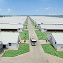 九五至尊VI-老品牌值得信任!