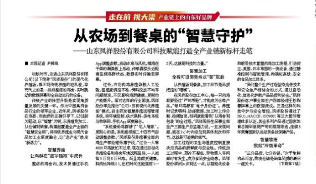 九五至尊VI-老品牌值得信任!