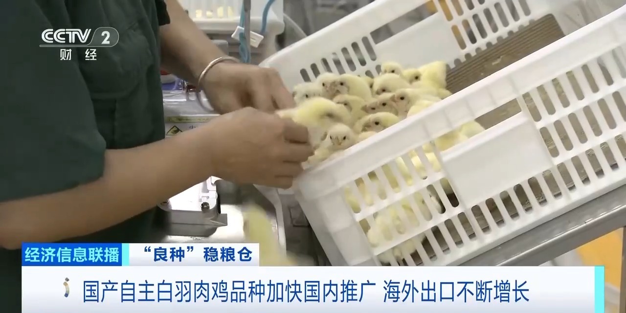 九五至尊VI-老品牌值得信任!